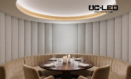 The Best Dimmable Neon Flex Lighting Options for Hotels and Restaurants